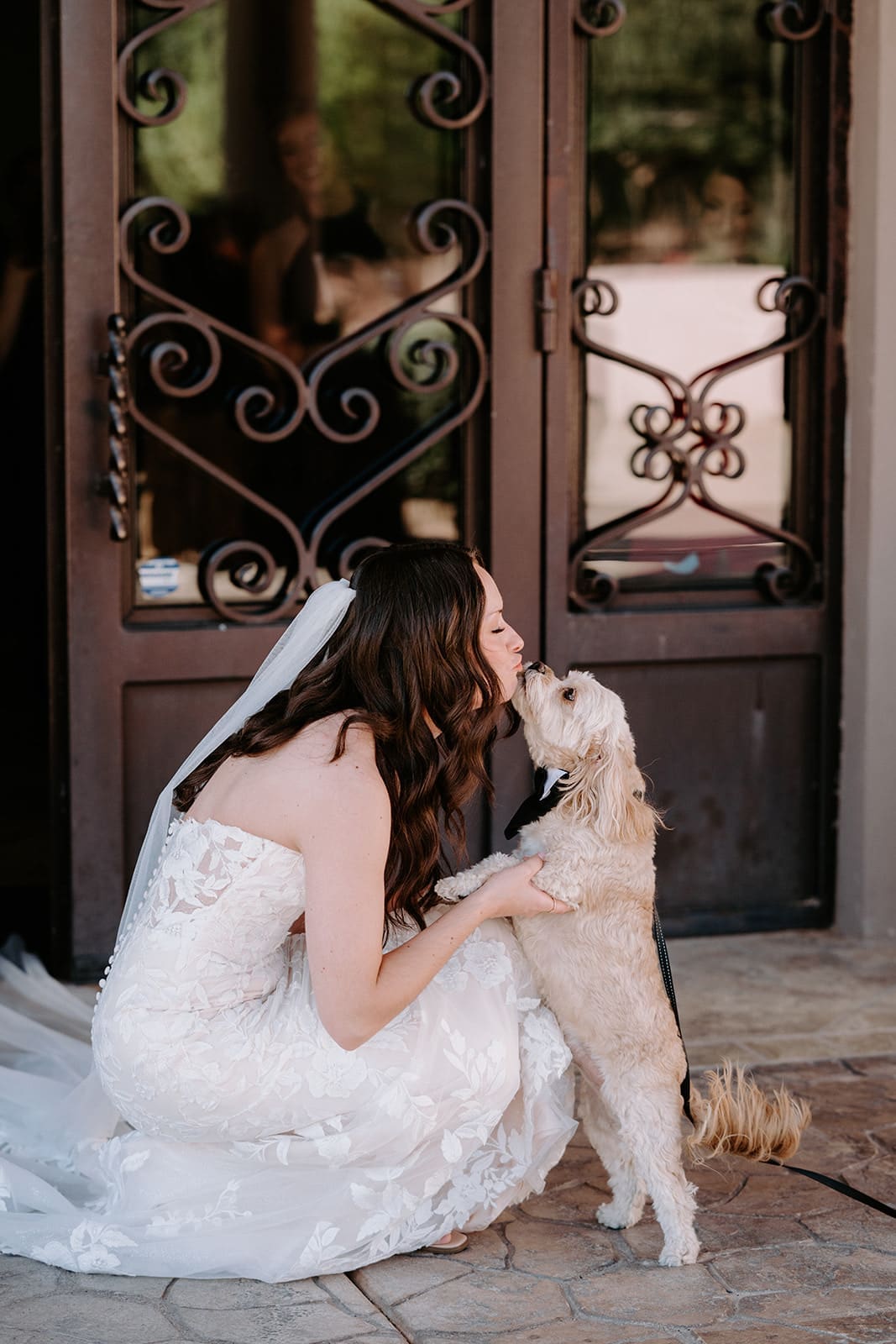 First look with pet dog