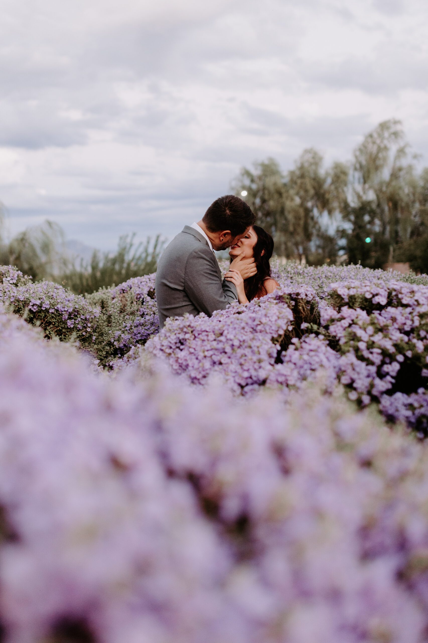 South Villa Garden at Superstition Manor