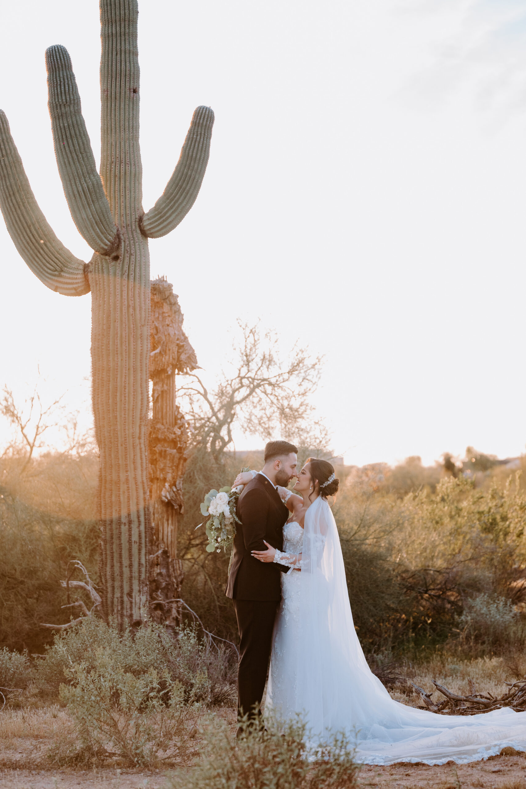 Desert landscape on Supersition manor property 